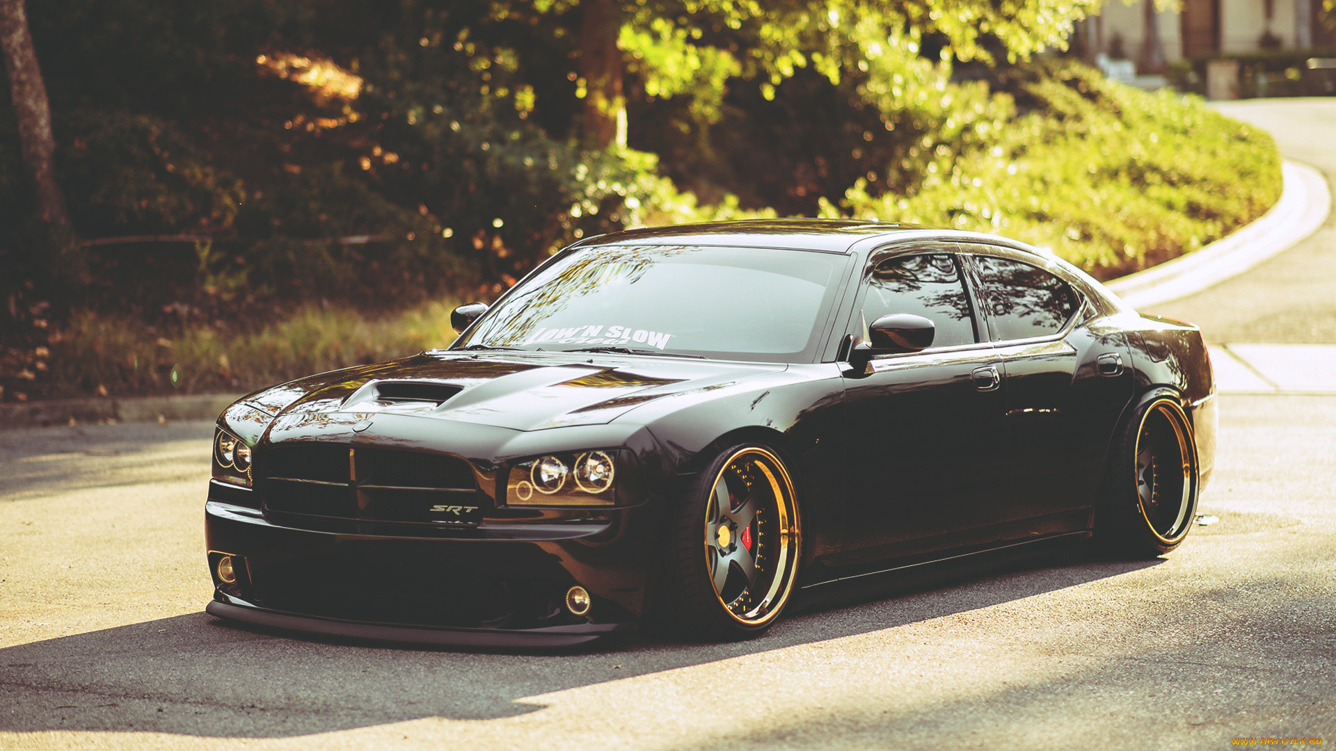 , dodge